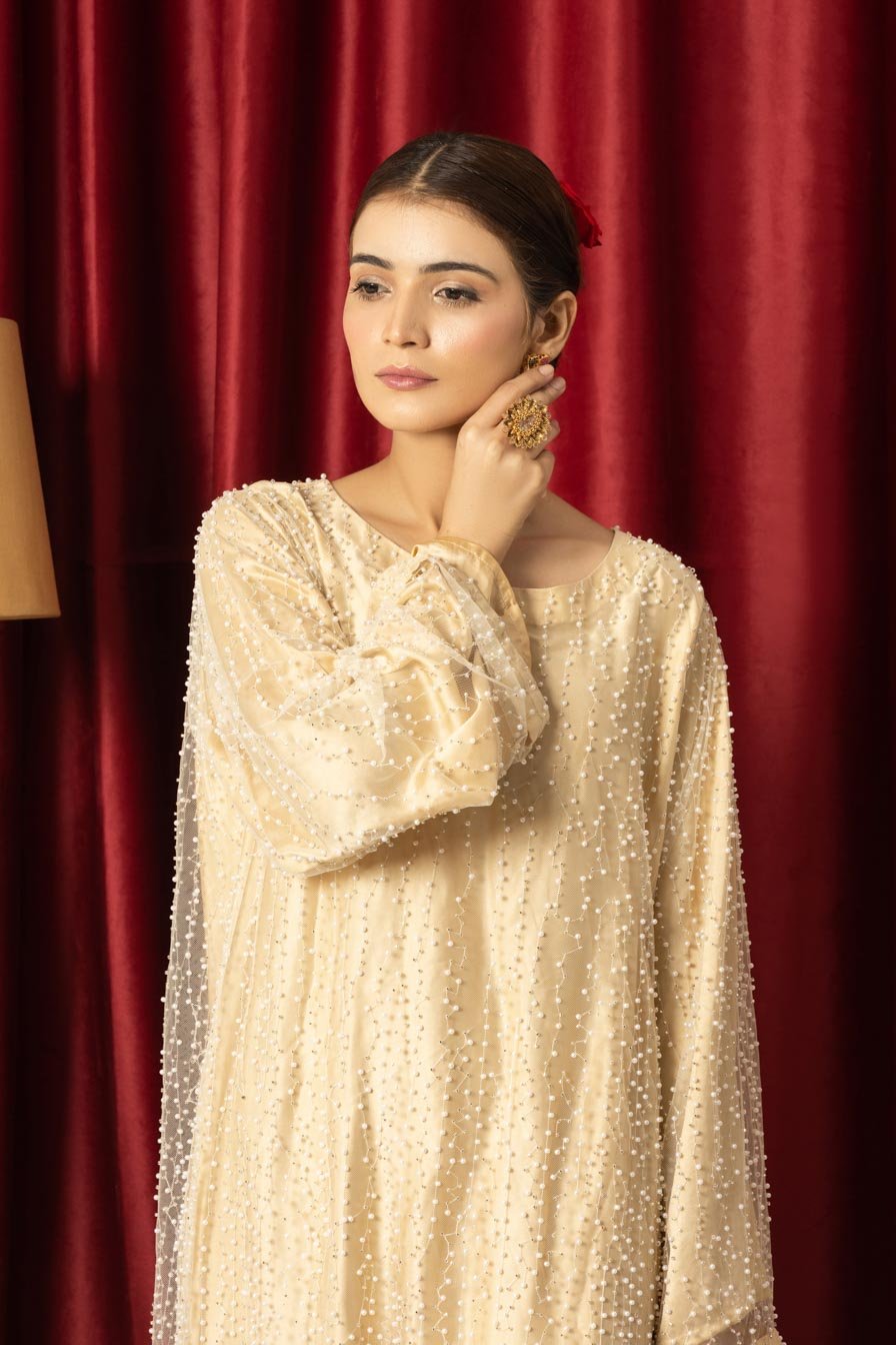 Full heavy work cut dana on net (Two piece) with full long shirt and dupatta - ENR Fashion